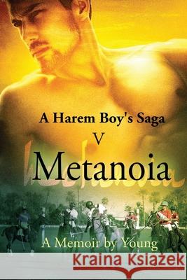Metanoia Young 9781625268518 Solstice Publishing - książka