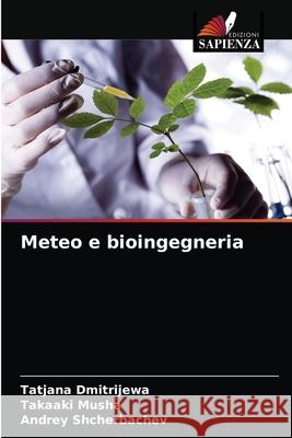 Meteo e bioingegneria Tatjana Dmitrijewa, Takaaki Musha, Andrey Shcherbachev 9786203353372 Edizioni Sapienza - książka