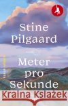 Meter pro Sekunde Pilgaard, Stine 9783985680771 Kanon, Berlin