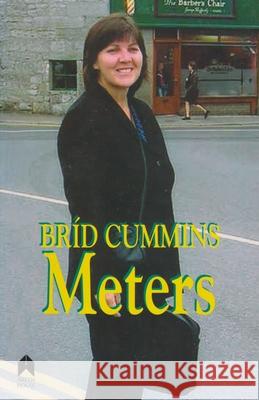 Meters Brid Cummins Rita Ann Higgins Catherine Connolly 9781903631898 Arlen House - książka