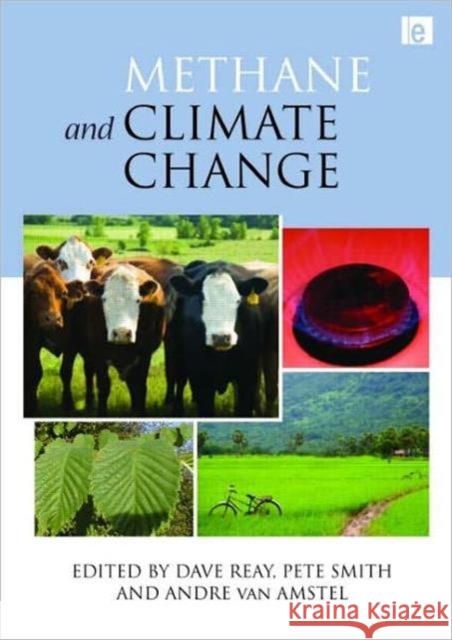 Methane and Climate Change David Reay 9781844078233  - książka