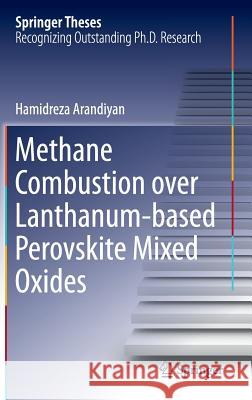 Methane Combustion Over Lanthanum-Based Perovskite Mixed Oxides Arandiyan, Hamidreza 9783662469903 Springer - książka