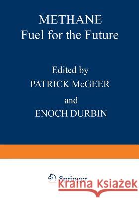 Methane: Fuel for the Future Durbin, Enoch 9781468443424 Springer - książka