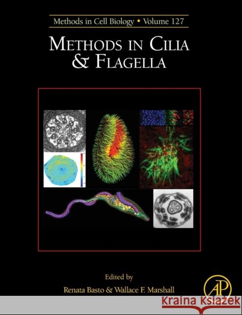 Methods in Cilia and Flagella: Volume 127 Basto, Renata 9780128024515 Elsevier Science - książka