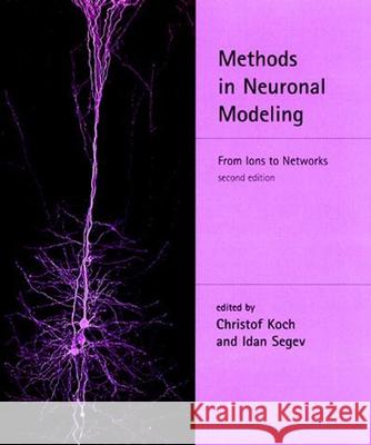 Methods in Neuronal Modeling: From Ions to Networks Christof Koch (President and Chief Scientist, Allen Institute for Brain Science), Idan Segev (Hebrew University) 9780262517133 MIT Press Ltd - książka