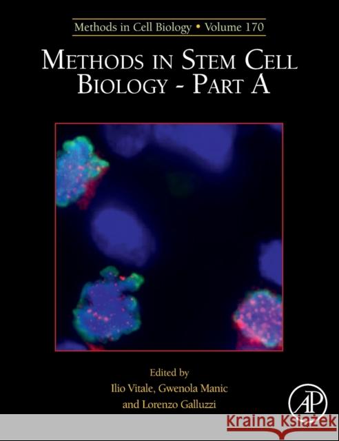 Methods in Stem Cell Biology - Part a: Volume 170 Vitale, Ilio 9780323900201 Academic Press - książka