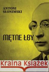 Mętne łby Antoni Słonimski 9788375659269 LTW - książka