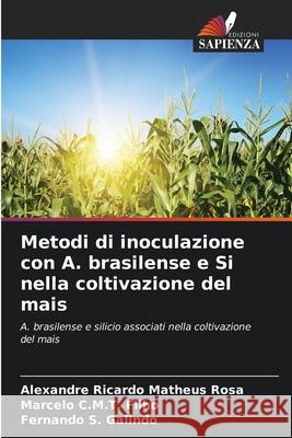 Metodi di inoculazione con A. brasilense e Si nella coltivazione del mais Matheus Rosa, Alexandre Ricardo, C.M.T. Filho, Marcelo, S. Galindo, Fernando 9786207819171 Edizioni Sapienza - książka