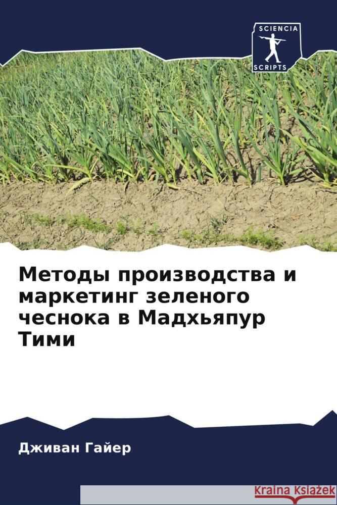 Metody proizwodstwa i marketing zelenogo chesnoka w Madh'qpur Timi Gajer, Dzhiwan 9786204851853 Sciencia Scripts - książka