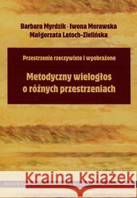 Metodyczny wielogłos o różnych przestrzeniach Myrdzik Barbara Morawska Iwona Latoch-Zielińska Małgorzata 9788377847947 UMCS - książka