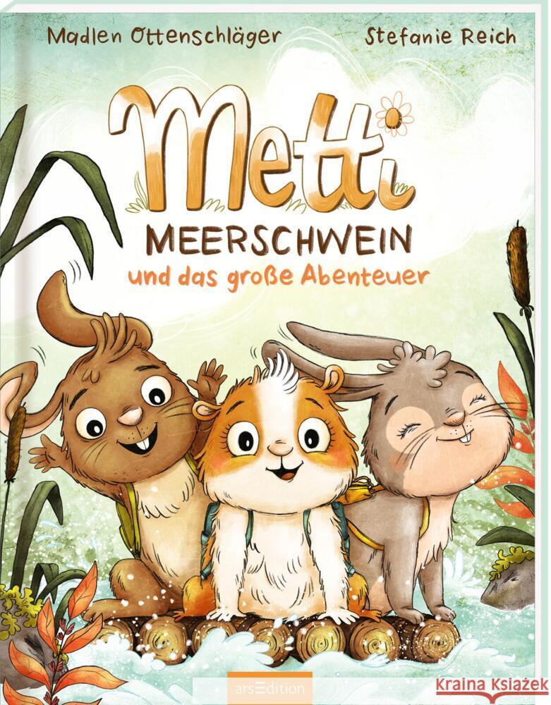 Metti Meerschwein und das große Abenteuer Ottenschläger, Madlen 9783845850177 ars edition - książka