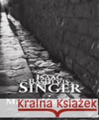 Metuzalémova smrt Isaac Bashevis Singer 9788025701560 Argo - książka