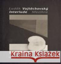 Mezihra LudÄ›k VojtÄ›chovskÃ½ 9788023927696 Galerie ART Chrudim - książka