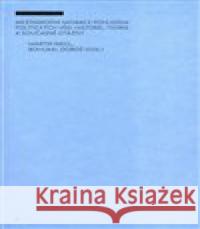 Mezinárodní migrace pohledem politických věd: historie, teorie a současné otázky Martin Riegl 9788087558355 Ústav mezinárodních vztahů - książka