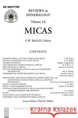 Micas S.W. Bailey 9780939950171 de Gruyter - książka