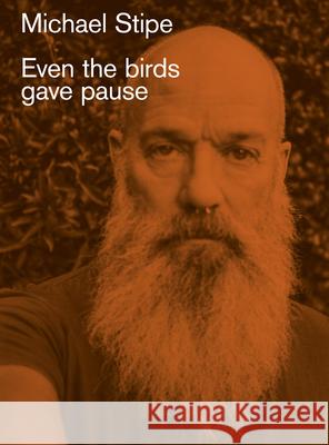 Michael Stipe: Even the birds gave pause Michael Stipe 9788862088145 Damiani - książka