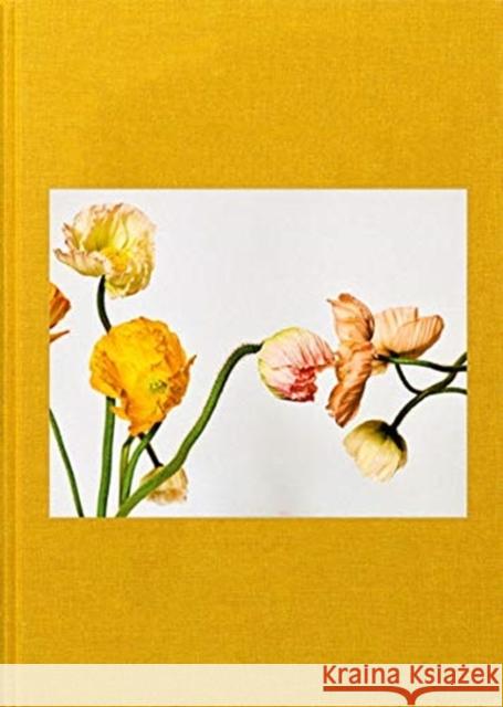 Michel Comte: Garden of Beauty: Combining Worlds with Flowers Jens Remes 9783958298590 Steidl Publishers - książka
