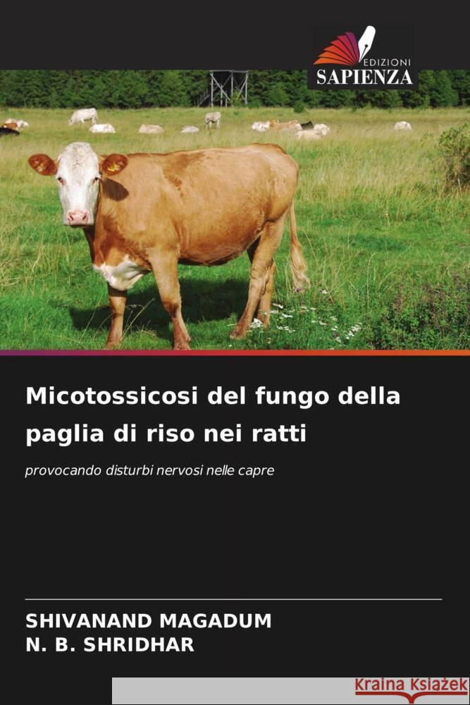 Micotossicosi del fungo della paglia di riso nei ratti Shivanand Magadum N. B. Shridhar 9786207211005 Edizioni Sapienza - książka