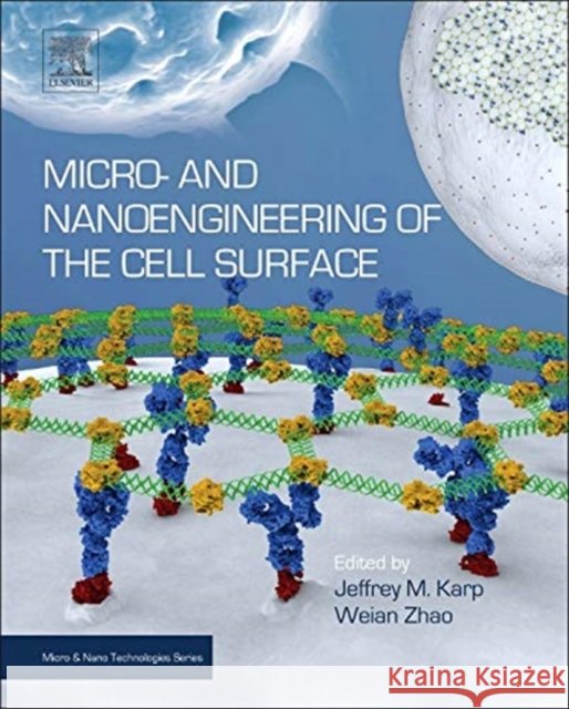 Micro- And Nanoengineering of the Cell Surface Karp, Jeffrey Zhao, Weian  9781455731466 Elsevier Science - książka