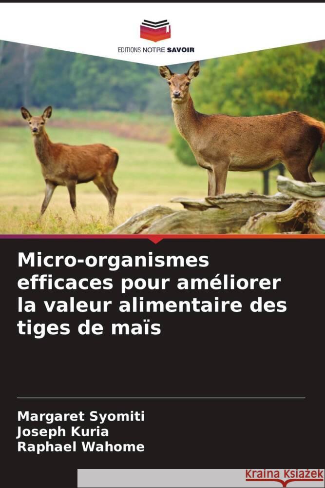 Micro-organismes efficaces pour am?liorer la valeur alimentaire des tiges de ma?s Margaret Syomiti Joseph Kuria Raphael Wahome 9786207363896 Editions Notre Savoir - książka