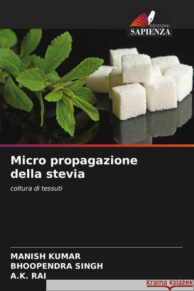 Micro propagazione della stevia Manish Kumar Bhoopendra Singh A. K. Rai 9786207989232 Edizioni Sapienza - książka