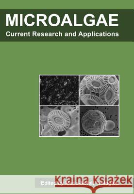 Microalgae: Current Research and Applications Maria-Nefeli Tsaloglou 9781910190272 Caister Academic Press - książka
