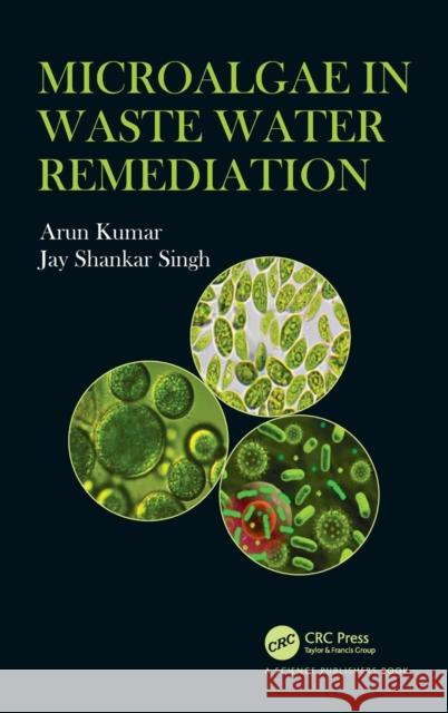 Microalgae in Waste Water Remediation Arun Kumar Jay Shankar Singh 9780367276034 CRC Press - książka