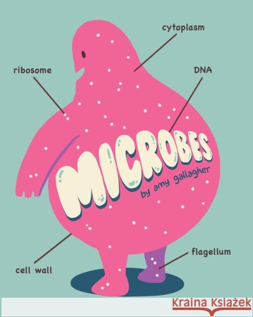 Microbes Amy Gallagher 9781634110099 Thunderstone Books - książka