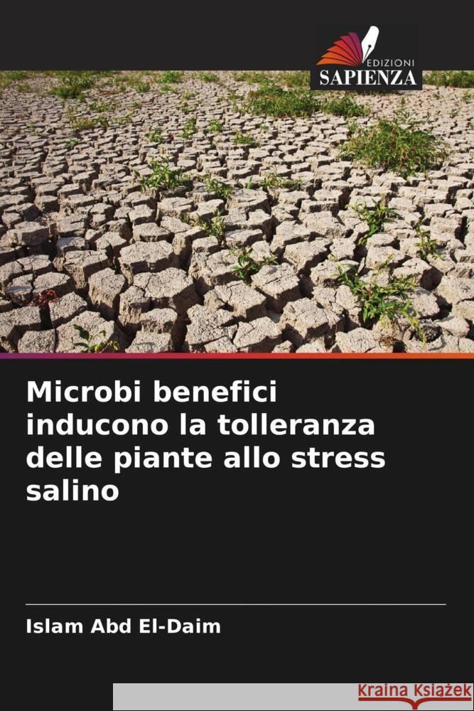 Microbi benefici inducono la tolleranza delle piante allo stress salino Abd El-Daim, Islam 9786206433392 Edizioni Sapienza - książka