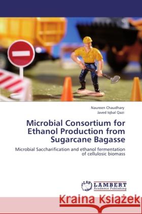 Microbial Consortium for Ethanol Production from Sugarcane Bagasse Chaudhary, Naureen, Qazi, Javed Iqbal 9783846510377 LAP Lambert Academic Publishing - książka