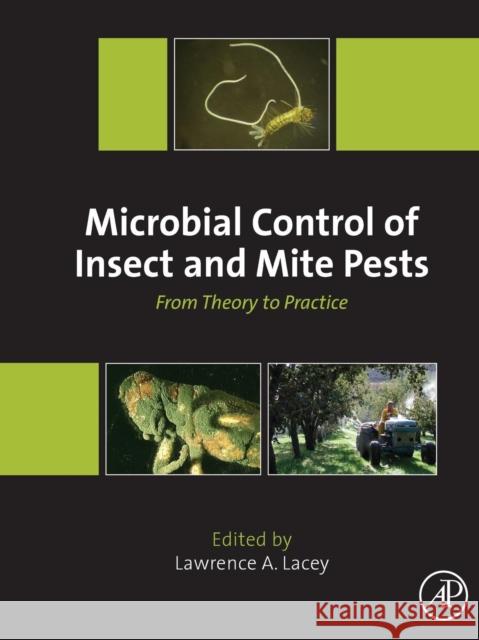Microbial Control of Insect and Mite Pests: From Theory to Practice Lacey, Lawrence A. 9780128035276 Academic Press - książka