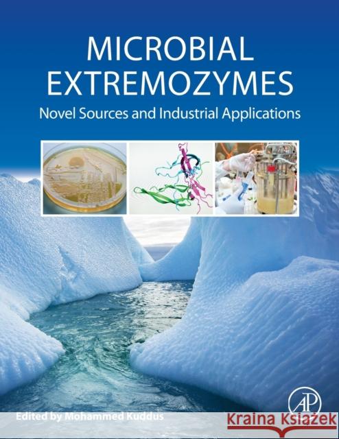 Microbial Extremozymes: Novel Sources and Industrial Applications Mohammed Kuddus 9780128229453 Academic Press - książka