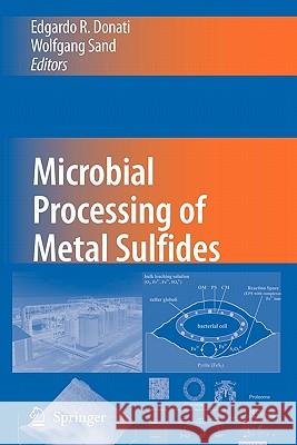 Microbial Processing of Metal Sulfides Edgardo R. Donati Wolfgang Sand 9789048174027 Springer - książka