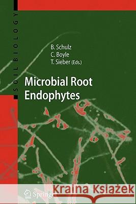 Microbial Root Endophytes Barbara J. E. Schulz 9783642070136 Not Avail - książka