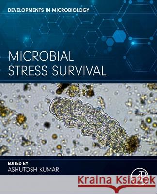 Microbial Stress Survival Ashutosh Kumar 9780443276224 Academic Press - książka