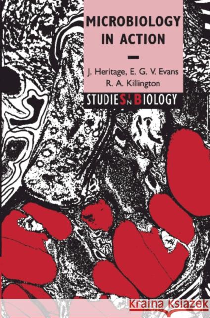 Microbiology in Action J. Heritage John Heritage R. A. Killington 9780521621113 Cambridge University Press - książka