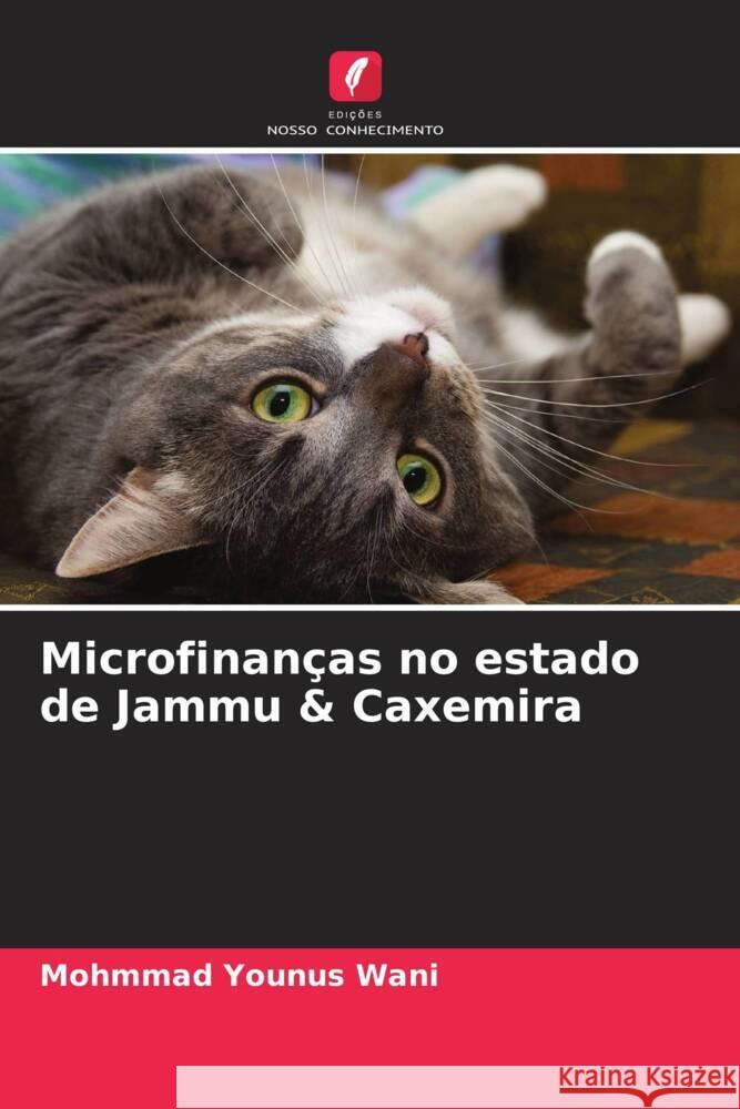 Microfinanças no estado de Jammu & Caxemira Wani, Mohmmad Younus 9786204622699 Edições Nosso Conhecimento - książka