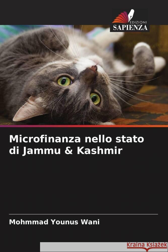 Microfinanza nello stato di Jammu & Kashmir Wani, Mohmmad Younus 9786204622682 Edizioni Sapienza - książka