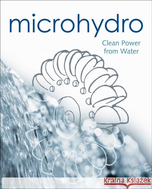 Microhydro: Clean Power from Water Davis, Scott 9780865714847 New Society Publishers - książka
