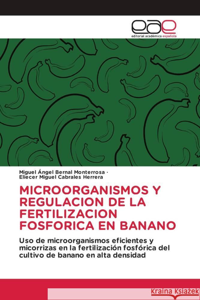 MICROORGANISMOS Y REGULACION DE LA FERTILIZACION FOSFORICA EN BANANO Bernal Monterrosa, Miguel Ángel, Cabrales Herrera, Eliecer Miguel 9783841762146 Editorial Académica Española - książka