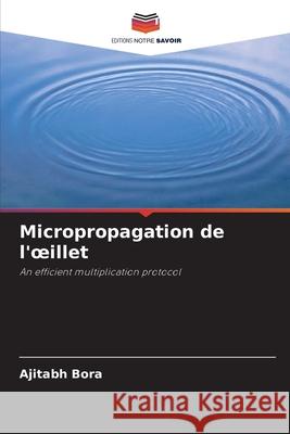Micropropagation de l'oeillet Ajitabh Bora, Madhumita C Talukdar 9786203076967 Editions Notre Savoir - książka