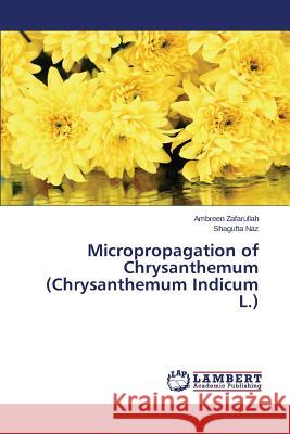 Micropropagation of Chrysanthemum (Chrysanthemum Indicum L.) Zafarullah Ambreen                       Naz Shagufta 9783659697388 LAP Lambert Academic Publishing - książka