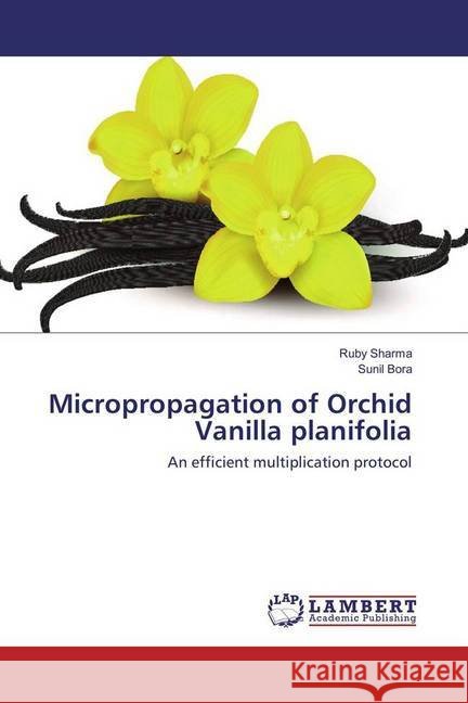 Micropropagation of Orchid Vanilla planifolia : An efficient multiplication protocol Sharma, Ruby; Bora, Sunil 9783330000063 LAP Lambert Academic Publishing - książka
