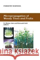 Micropropagation of Woody Trees and Fruits Jain, S. M. 9781402011351 Kluwer Academic Publishers - książka