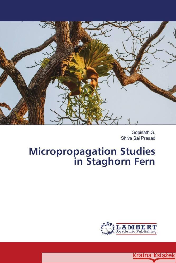 Micropropagation Studies in Staghorn Fern G., Gopinath, Prasad, Shiva Sai 9786204198255 LAP Lambert Academic Publishing - książka