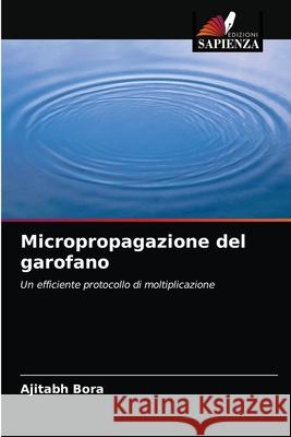 Micropropagazione del garofano Ajitabh Bora 9786203075663 Edizioni Sapienza - książka