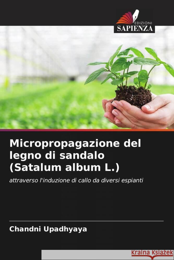 Micropropagazione del legno di sandalo (Satalum album L.) Upadhyaya, Chandni 9786204868769 Edizioni Sapienza - książka