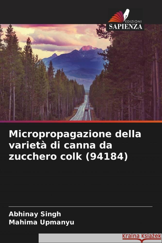 Micropropagazione della varietà di canna da zucchero colk (94184) Singh, Abhinay, Upmanyu, Mahima 9786204520162 Edizioni Sapienza - książka