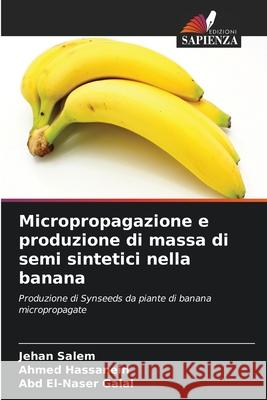 Micropropagazione e produzione di massa di semi sintetici nella banana Salem, Jehan, Hassanein, Ahmed, Galal, Abd El-Naser 9786208690021 Edizioni Sapienza - książka