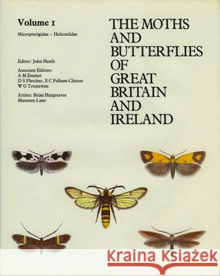 Micropterigidae - Heliozelidae  9780946589036 Harley Books - książka